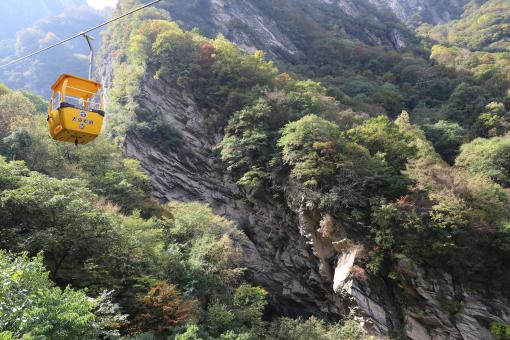 美高梅娱乐场