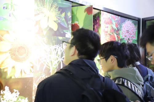 美高梅娱乐场