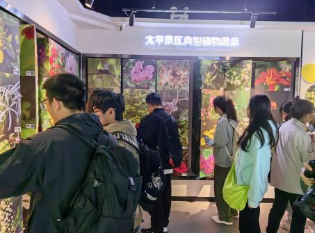 美高梅娱乐场